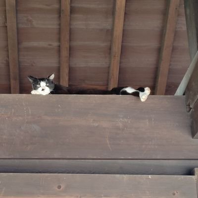 dune_fujioka's profile picture. サブ垢→@gakegakegake