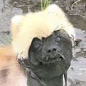 conysunday's profile picture. 
