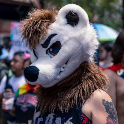 Coldy Grizzpol 🐻🇲🇽さんのプロフィール画像