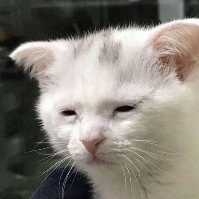 lmao byeさんのプロフィール画像