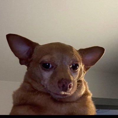 Hexdy01's profile picture. 