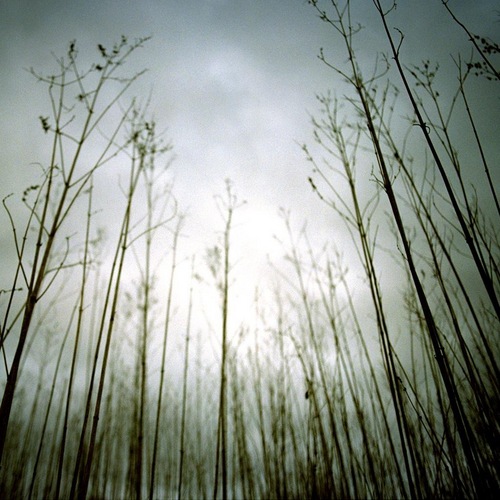 ConferenceRmC's profile picture. Decompression Chamber