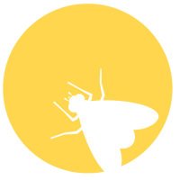 Fruit Fly Collective (@fruitflyc) 's Twitter Profile