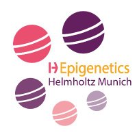 Epigenetics Research at Helmholtz Munich (@epigeneticshmgu) 's Twitter Profile Photo Epigenetics Research at Helmholtz Munich (@epigeneticshmgu) 's Twitter Profile Photo
