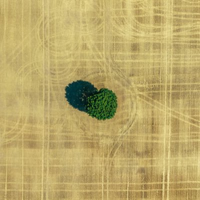 TheRussWilcox's profile picture. Occasional photographer, and first port of call for things on top shelves. Views are my own, like my hair