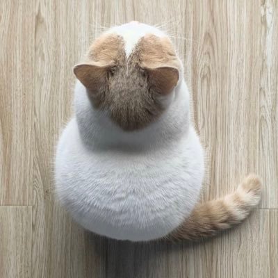 るぅ。さんのプロフィール画像