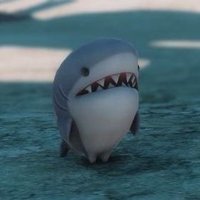 🦈 (@bbsharky18) 's Twitter Profile Photo 🦈 (@bbsharky18) 's Twitter Profile Photo