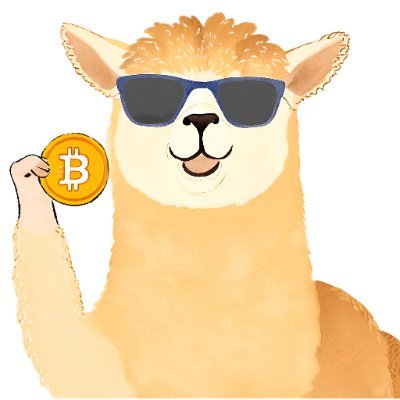 qbxldja's profile picture. 비트코인 알아가는중🫡