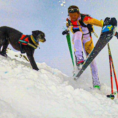 LloretNil's profile picture. 