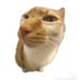 Fun (@fundffg) Twitter profile photo Fun (@fundffg) Twitter profile photo