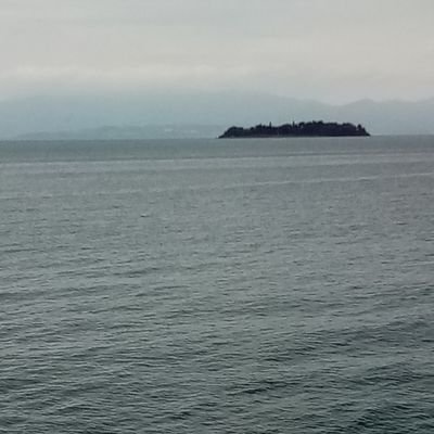 Yusuf205617813's profile picture. ❤️❤️❤️❤️❤️