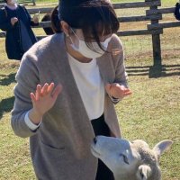 らん / ウェブサイト制作 (@ranthread) 's Twitter Profile