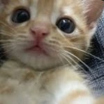 Burken00's profile picture. 