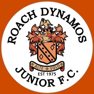 Roach Dynamos Sundays Profile