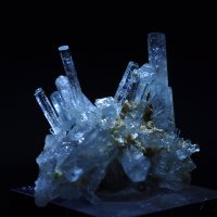 Saxum (@saxum1357) 's Twitter Profile