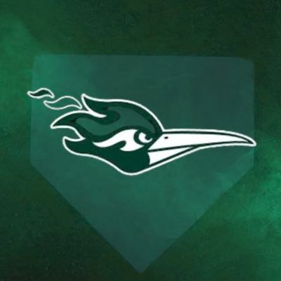 CoD Baseball Profile