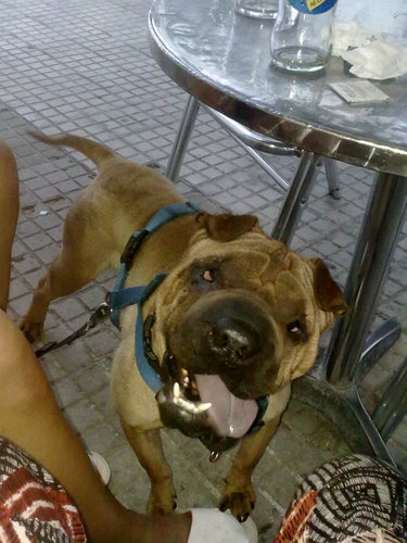 octavi89's profile picture. 