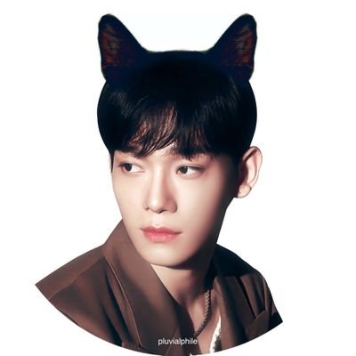 𝖸𝗈𝗎𝗋 𝗆𝗎𝗌𝗂𝖼 𝗌𝖺𝗏𝖾𝖽 𝗆𝗒 𝗌𝗈𝗎𝗅. 𝖳𝗁𝖺𝗇𝗄 𝗒𝗈𝗎 𝖿𝗈𝗋 𝗌𝗂𝗇𝗀𝗂𝗇𝗀. ꒰ 종댕순댕 ꒱ @CHEN_INB100 @_chen_JP