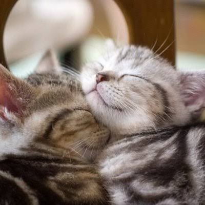 Hanasaki888's profile picture. 【TikTok/YouTube】札幌出身東京在住🧑🏻‍💻