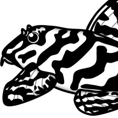 hinomaru5432's profile picture. プレコは楽しいです✨宜しくお願い致します🙇‍♂️ プレコ暮らし応援隊📣 57シェルター応援隊📣インペリアルゼブラプレコの飼育小屋応援隊📣アクアファング応援隊📣