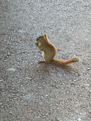 cryptopia24's profile picture. love life!!!!