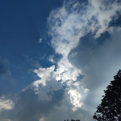 hnshng143248177's profile picture. 这边是熯熵！目前是个小画手 🎨｜是一只焦虑猫猫｜会偶尔放一些委托｜具体委托图都可以来QQ群里看 😋｜QQ群：695684746｜谢谢喜欢！