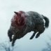 ewe (@obasanhitsuji) Twitter profile photo ewe (@obasanhitsuji) Twitter profile photo