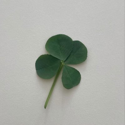 nenichanan57145's profile picture. 