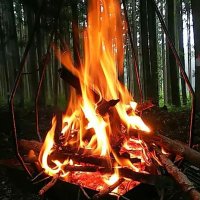 PK (@pk66913052) 's Twitter Profile
