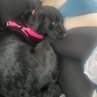 kayuskilla's profile picture. 