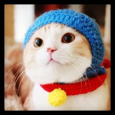 freesummer74's profile picture. 音楽・ﾌｧｯｼｮﾝ・遊び・映画・読書、いろんなｼﾞｬﾝﾙを聴きます、着ます、します、観ます、読みます。 つまりは自分の方向性が定まってません。 いいものはいい、好きなものは好き。 食う・寝る・遊ぶが栄養素。