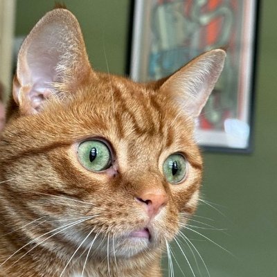 Technology Manager. Working to stop the robots from taking over.