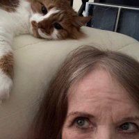 Barbara K (@bkatsr) 's Twitter Profile