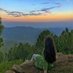 Colors of nature (@colorsofnature9) Twitter profile photo Colors of nature (@colorsofnature9) Twitter profile photo