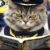 Kedi (@duyumvitrini) Twitter profile photo Kedi (@duyumvitrini) Twitter profile photo