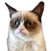 GrumpyCoinCat (@grumpycoincat) Twitter profile photo GrumpyCoinCat (@grumpycoincat) Twitter profile photo