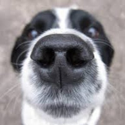 LyzeMikola93182's profile picture. 