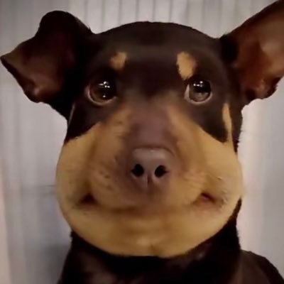 lovesomeuu's profile picture. 큥얘가제일좋아ㅋㅋ