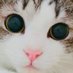 kittipong tachsatien (@ktachsatien) Twitter profile photo kittipong tachsatien (@ktachsatien) Twitter profile photo