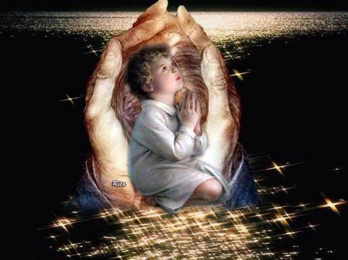 nariman0000's profile picture. 