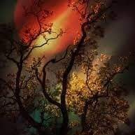 Bigwin71's profile picture. Have fun ☺️