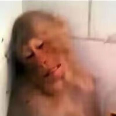 RealPorkMonkey's profile picture. Deal late