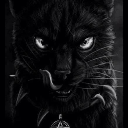 GODFOX4128's profile picture. ...