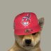 Good Bear ❤️ $WELL (@goodbearwe46592) Twitter profile photo Good Bear ❤️ $WELL (@goodbearwe46592) Twitter profile photo