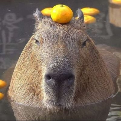 Sanchez_d_god's profile picture. 