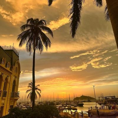 JOHANNAJURGENSE's profile picture. Un día a la vez ✨🤍💕