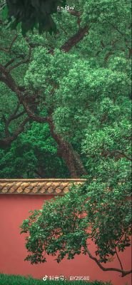 freedom78975650's profile picture. 