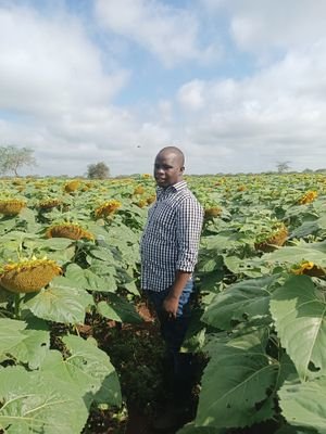 koikai_ben's profile picture. 