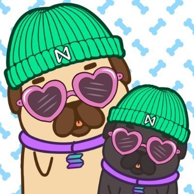 BitsFracta41056's profile picture. Nerdy boi account for memes and the like, since who doesn’t want to do those?