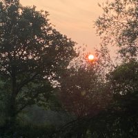 Dawn Hendon (@dch_ndn) 's Twitter Profile Photo Dawn Hendon (@dch_ndn) 's Twitter Profile Photo